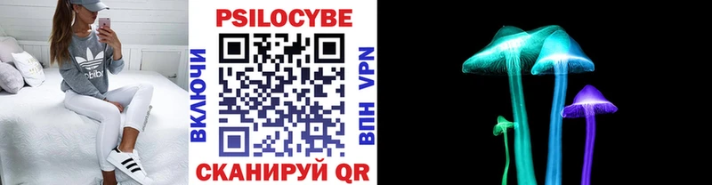 Псилоцибиновые грибы Psilocybe  Губаха 