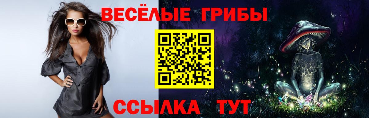 Псилоцибиновые грибы ЛСД Губаха