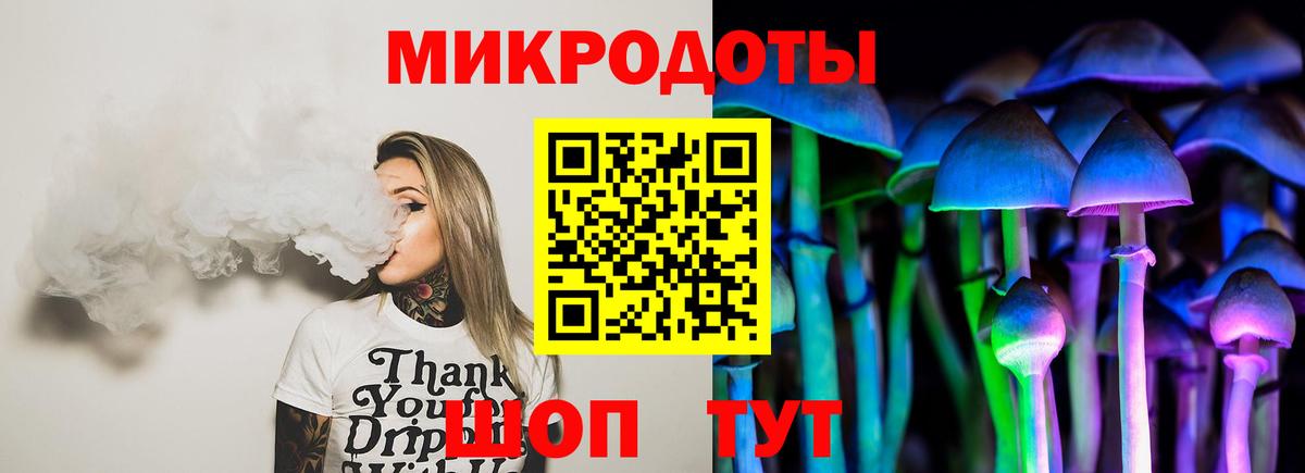 Губаха  Галлюциногенные грибы Psilocybe  Вход с VPN  Псилоцибиновые грибы прущие грибы 